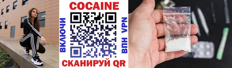 где можно купить наркотик  Петровск-Забайкальский  COCAIN FishScale 