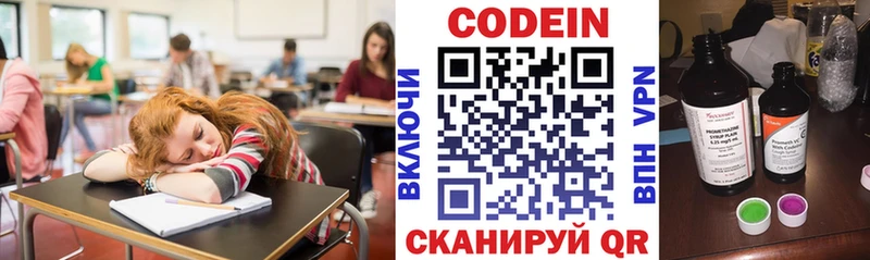 ОМГ ОМГ ТОР  Петровск-Забайкальский  Кодеин напиток Lean (лин)  как найти  