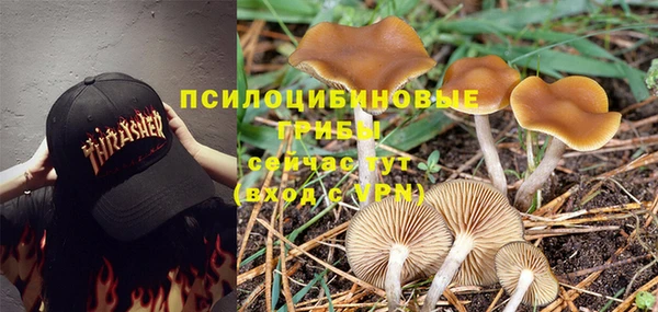 а пвп мука Баксан